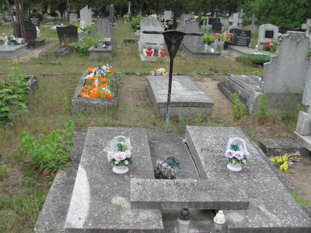 Grób Leokadia Wolnikowska