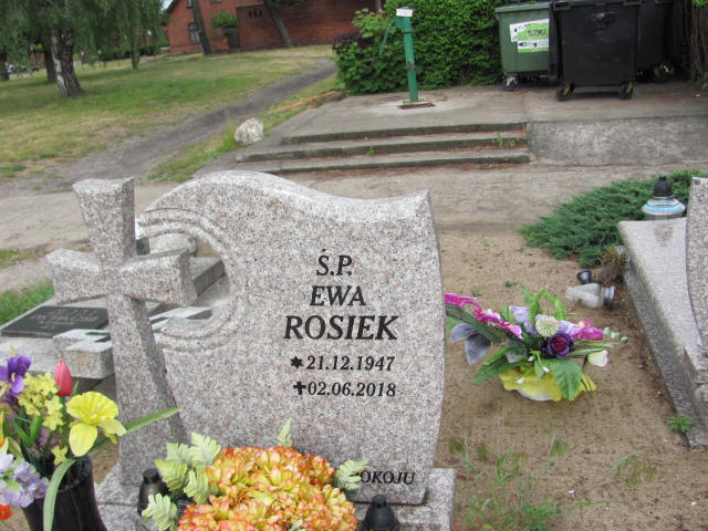 Ewa Rosiek 1947 Bydgoszcz Ewangelicki - Grobonet - Wyszukiwarka osób pochowanych