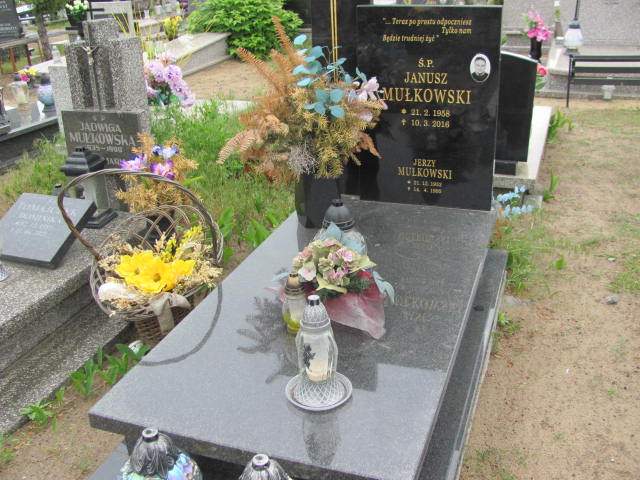 Grób Janusz Mułkowski
