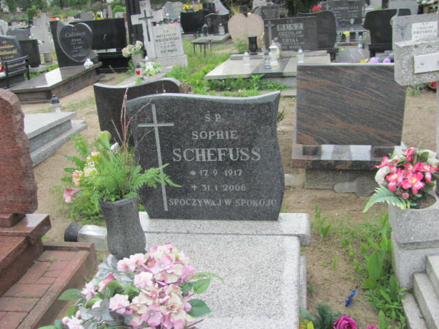 Sophie Schefuss 1917 Bydgoszcz Ewangelicki - Grobonet - Wyszukiwarka osób pochowanych